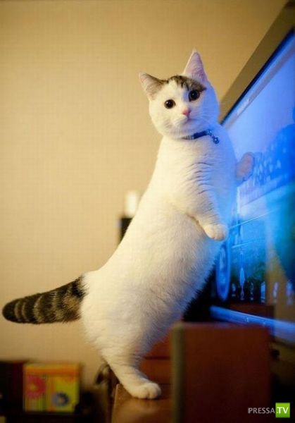 �������� ��������, ����� 2 (48 ����)