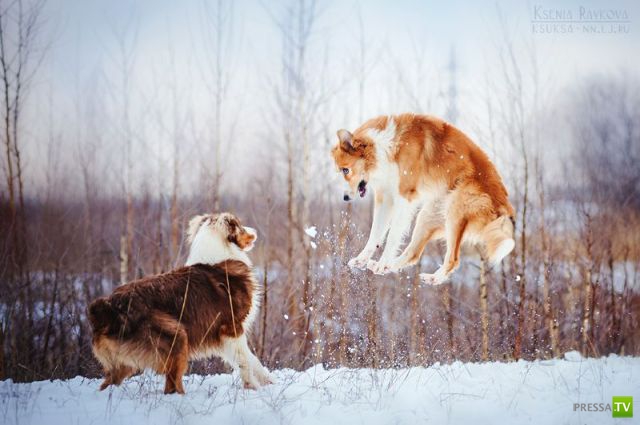 �������� ��������, ����� 2 (48 ����)