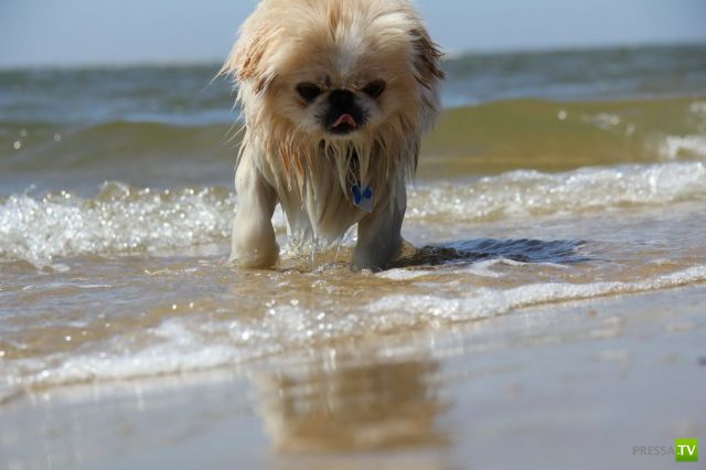 �������� ��������, ����� 2 (48 ����)