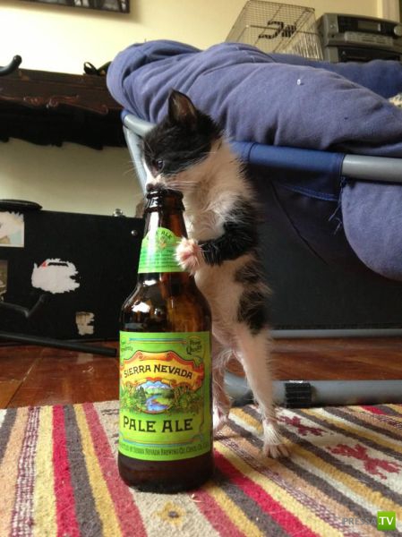 �������� ��������, ����� 2 (48 ����)