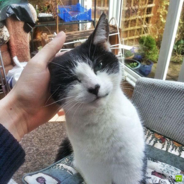 �������� ��������, ����� 2 (48 ����)