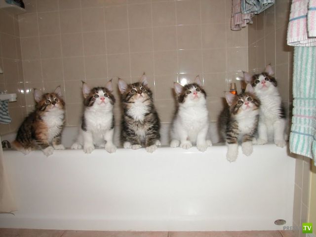 �������� ��������, ����� 2 (48 ����)