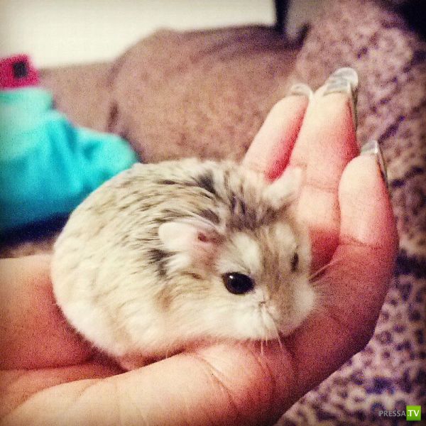 �������� ��������, ����� 2 (48 ����)