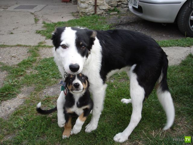 �������� ��������, ����� 2 (48 ����)