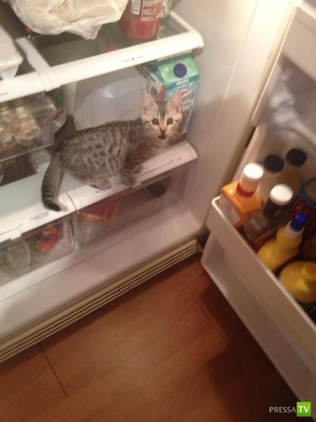 �������� ��������, ����� 2 (48 ����)