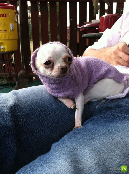 �������� ��������, ����� 2 (48 ����)