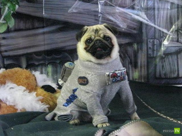 �������� ��������, ����� 2 (48 ����)