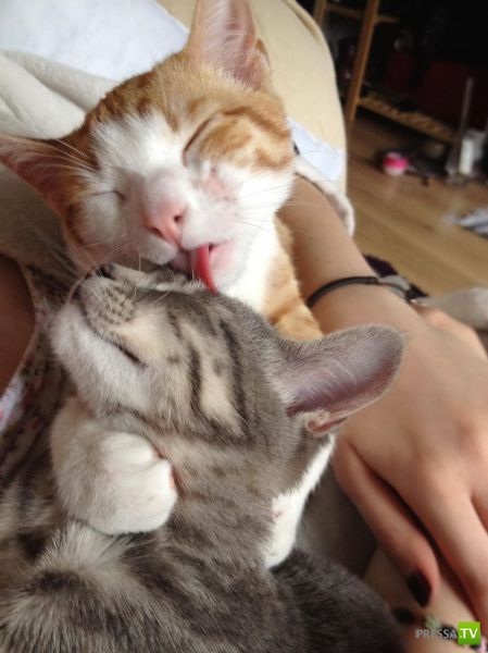 �������� ��������, ����� 2 (48 ����)