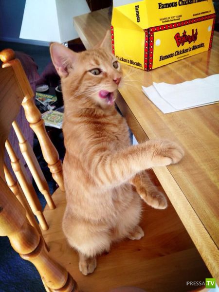 �������� ��������, ����� 2 (48 ����)