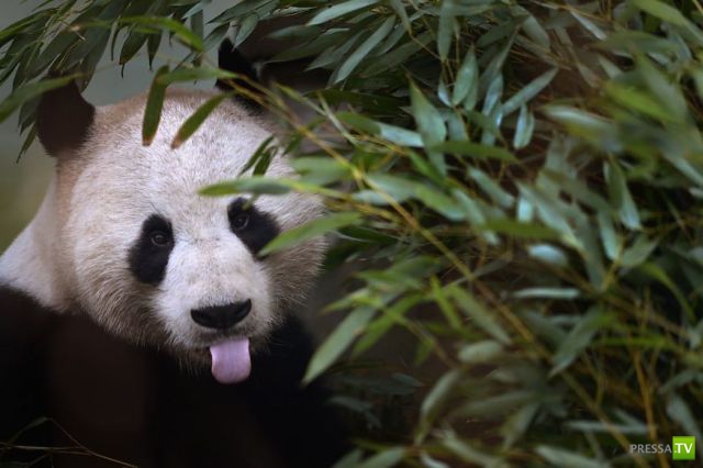 �������� ��������, ����� 2 (48 ����)