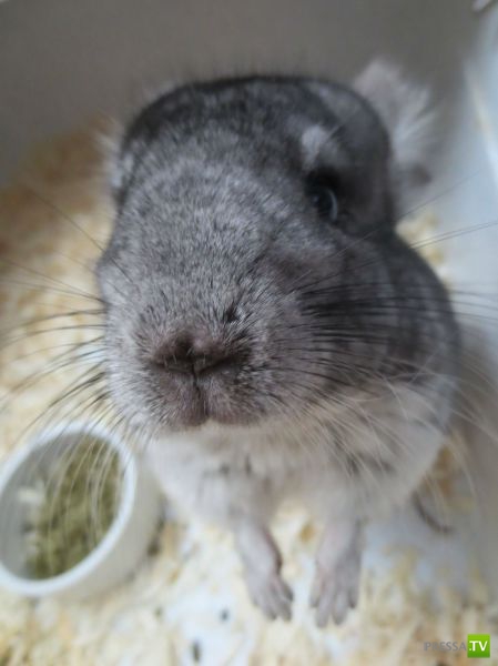 �������� ��������, ����� 2 (48 ����)