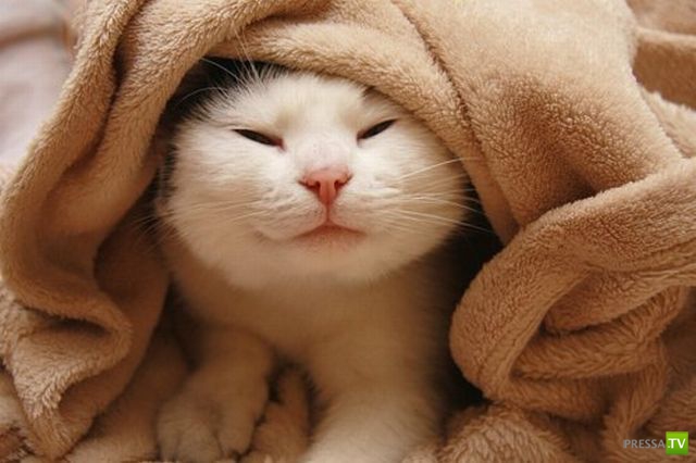 �������� ��������, ����� 2 (48 ����)