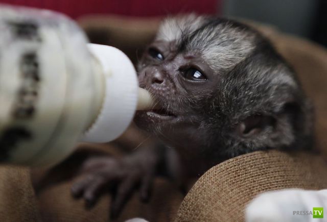 �������� ��������, ����� 2 (48 ����)