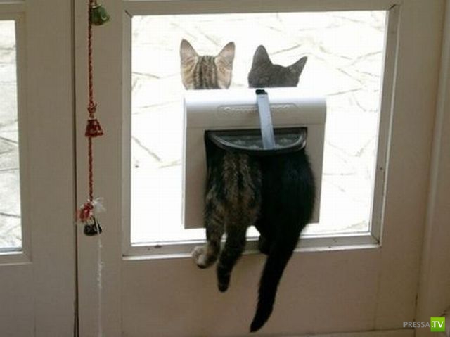 �������� ��������, ����� 2 (48 ����)