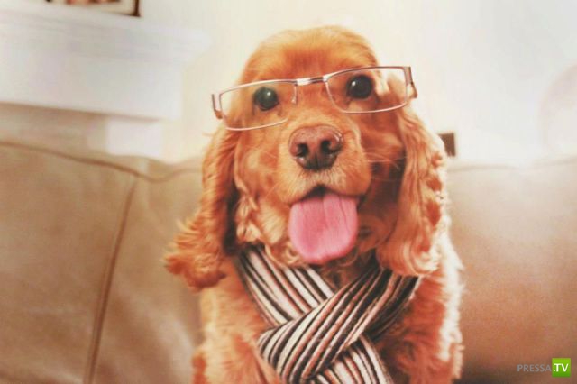 �������� ��������, ����� 2 (48 ����)