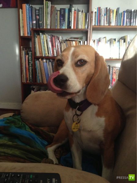 �������� ��������, ����� 2 (48 ����)