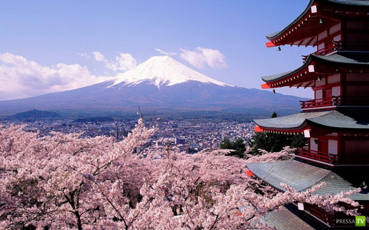 �������� �������� ��������...