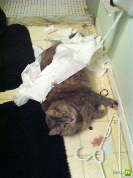 �������� ��������, ����� 4 (50 ����)