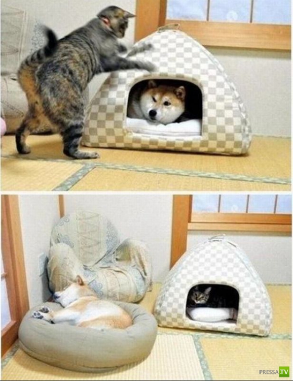 �������� ��������, ����� 4 (50 ����)