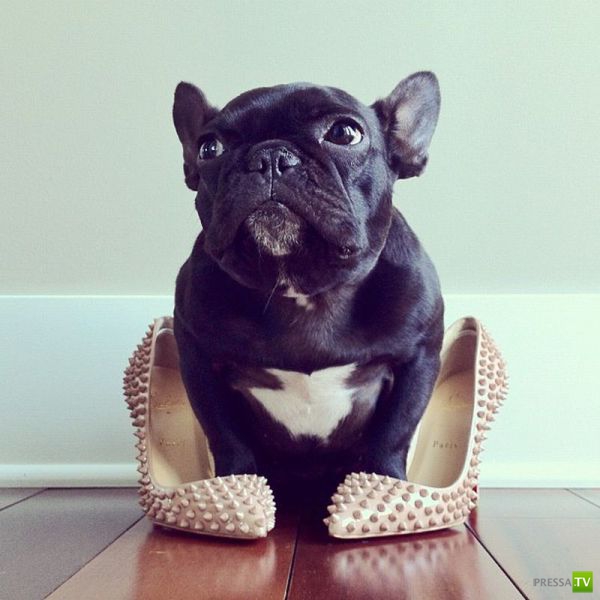 �������� ��������, ����� 4 (50 ����)