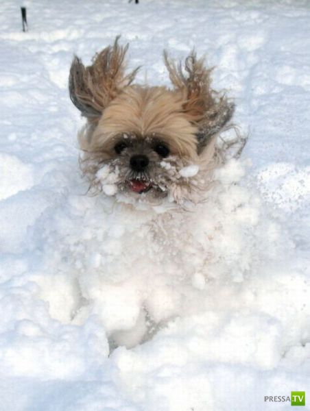 �������� ��������, ����� 4 (50 ����)