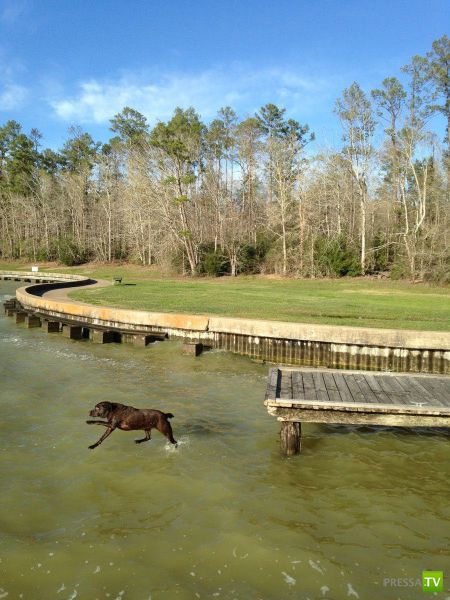 �������� ��������, ����� 4 (50 ����)