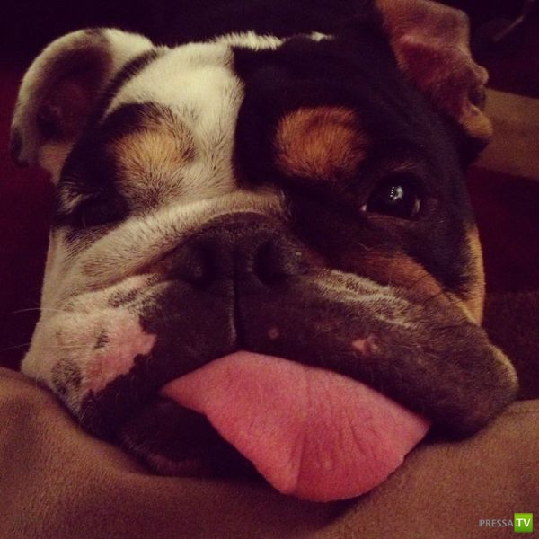 �������� ��������, ����� 4 (50 ����)