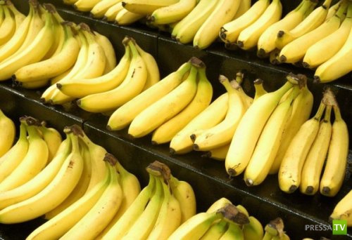 Неизвестные радиоактивные вещи (10 фото) Неизвестные радиоактивные вещи (10 фото)