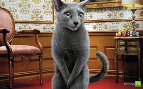 Неизвестные радиоактивные вещи (10 фото) Неизвестные радиоактивные вещи (10 фото)