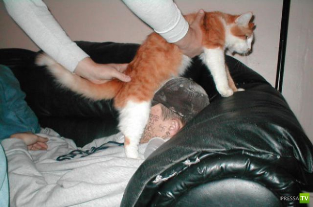 �� ����� �����! ������� ������� ������ ��� ������� (50 ����)