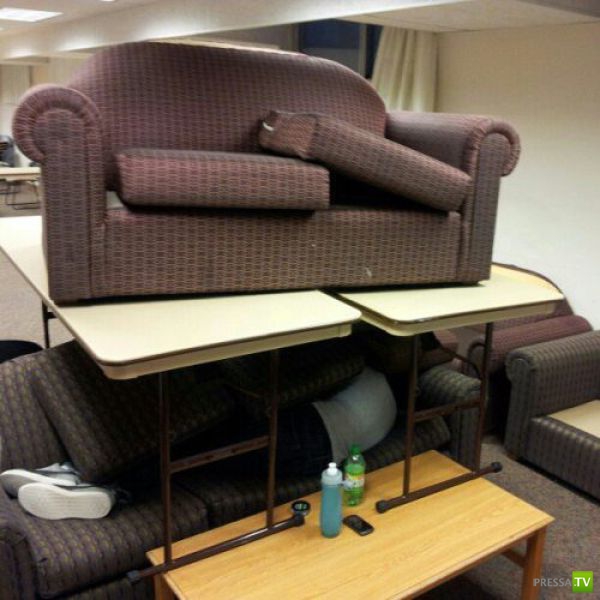 �� ����� �����! ������� ������� ������ ��� ������� (50 ����)