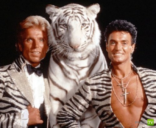 ��������� � �������� ���� (11 ����)