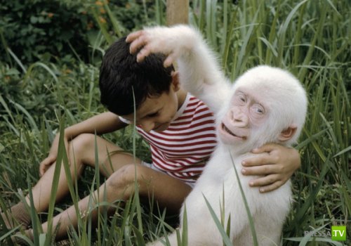 ��������� � �������� ���� (11 ����)