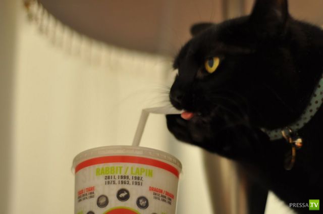 �������� ��������, ����� 6 (45 ����)