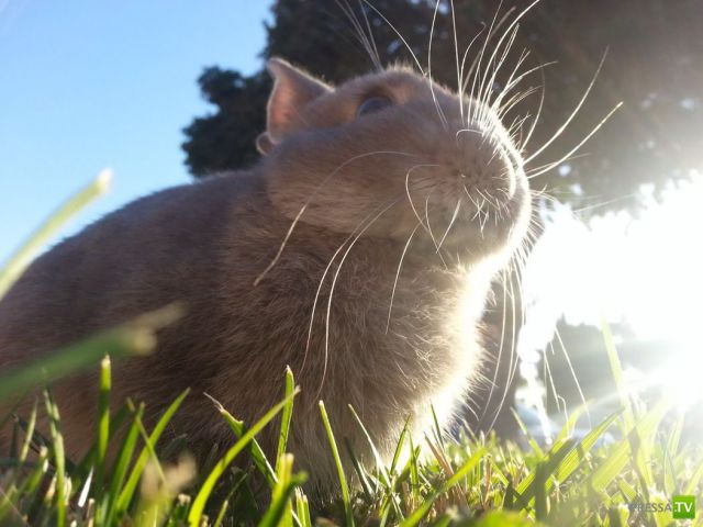 �������� ��������, ����� 6 (45 ����)