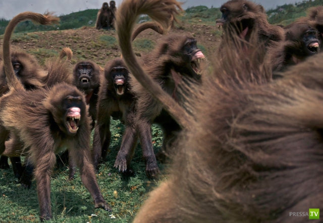 �������� ��������, ����� 6 (45 ����)