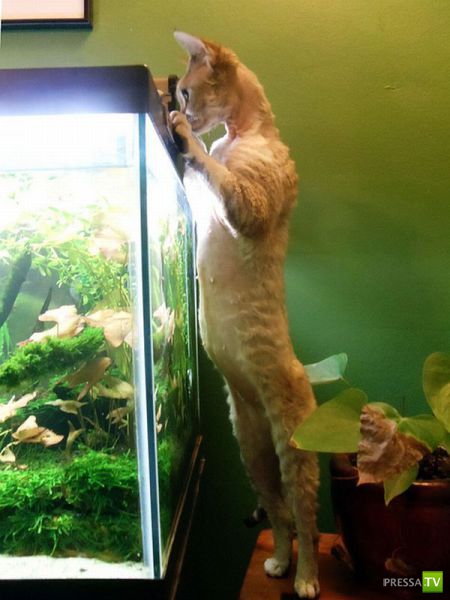 �������� ��������, ����� 6 (45 ����)