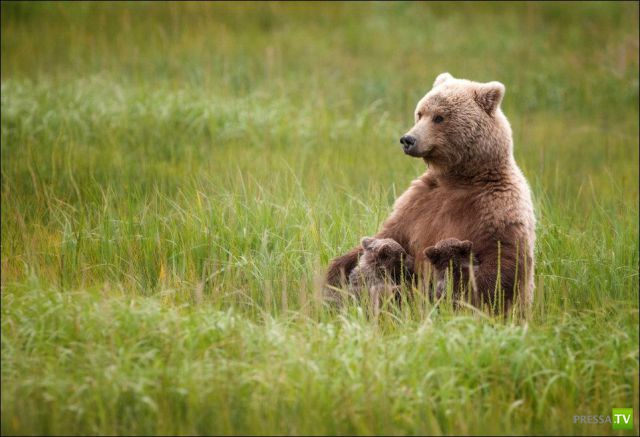 �������� ��������, ����� 6 (45 ����)