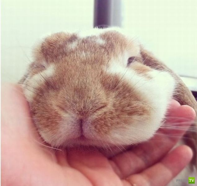 �������� ��������, ����� 6 (45 ����)