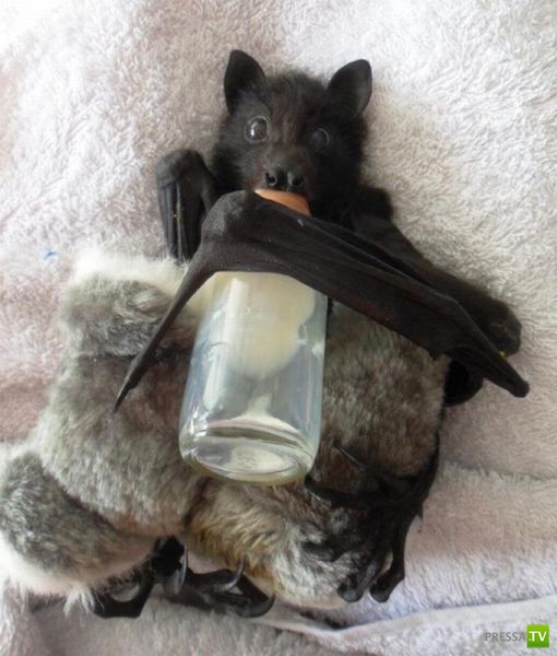 �������� ��������, ����� 6 (45 ����)