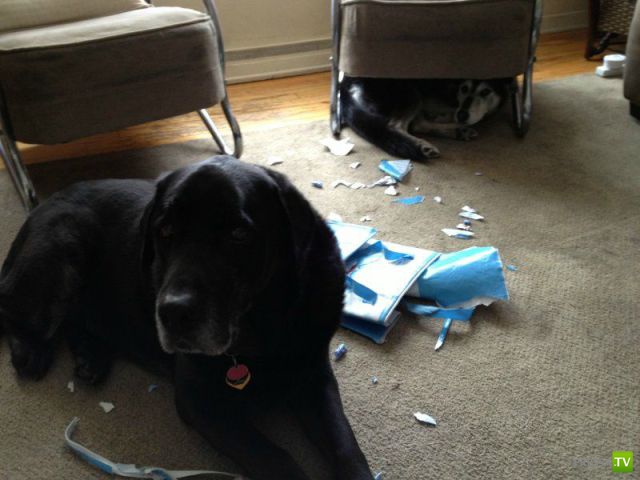 �������� ��������, ����� 6 (45 ����)