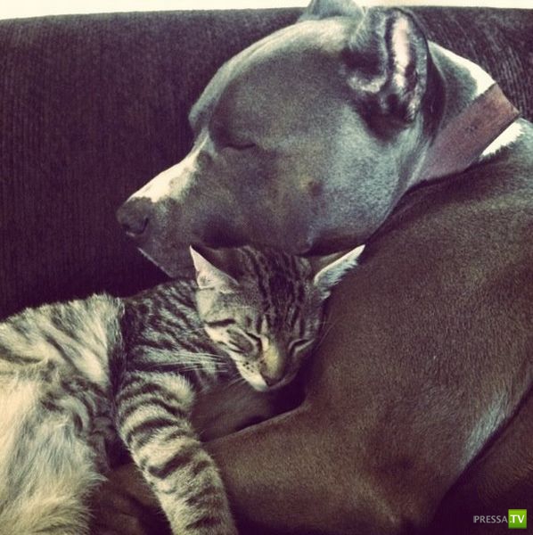 �������� ��������, ����� 6 (45 ����)