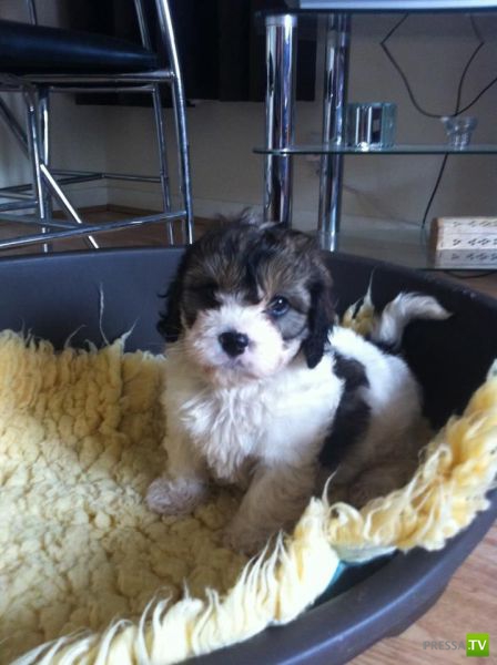 �������� ��������, ����� 6 (45 ����)