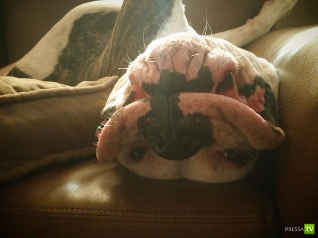 �������� ��������, ����� 6 (45 ����)