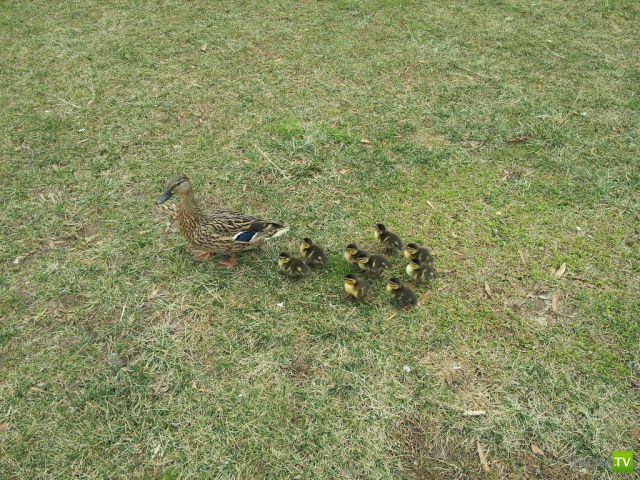 �������� ��������, ����� 6 (45 ����)