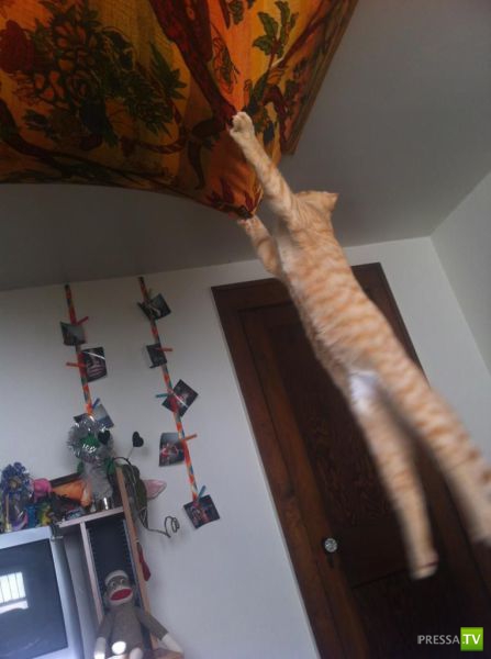 �������� ��������, ����� 6 (45 ����)