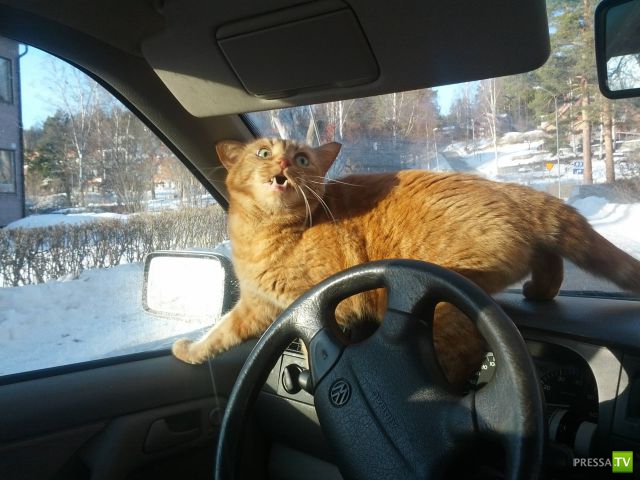 �������� ��������, ����� 6 (45 ����)