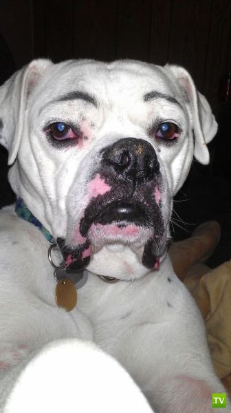 �������� ��������, ����� 6 (45 ����)