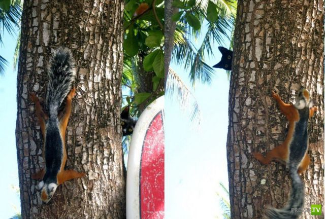 �������� ��������, ����� 6 (45 ����)