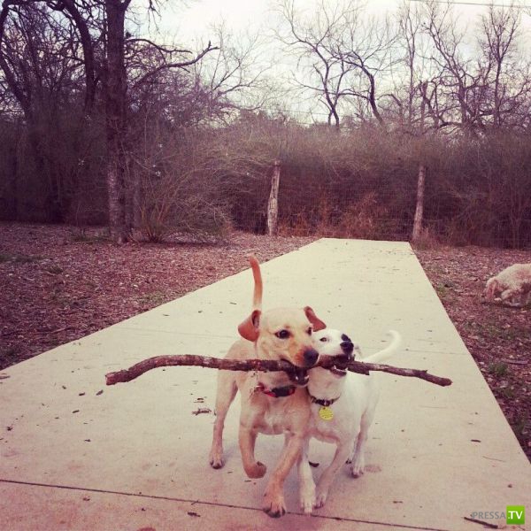 �������� ��������, ����� 6 (45 ����)